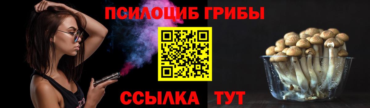 Томск  Псилоцибиновые грибы Psilocybine cubensis  Галлюциногенные грибы Magic Shrooms  Вход с VPN 